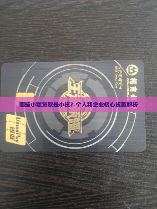 哪些贷款是小贷