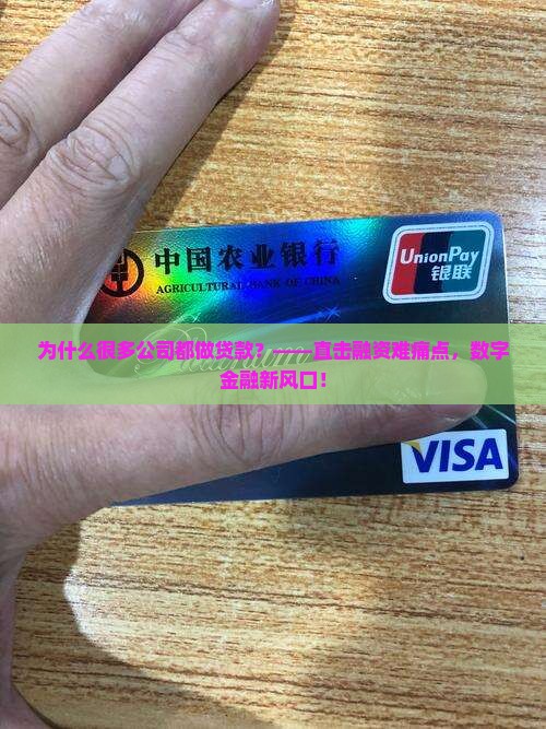 为什么很多公司都做贷款