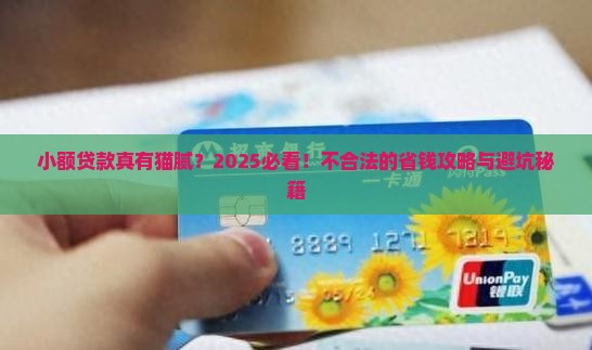 小额贷款不合法吗