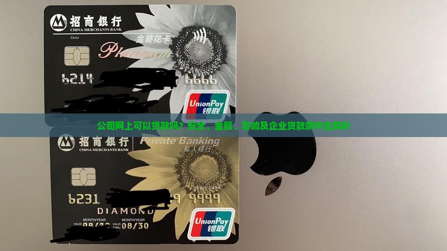公司法人网上可以贷款吗