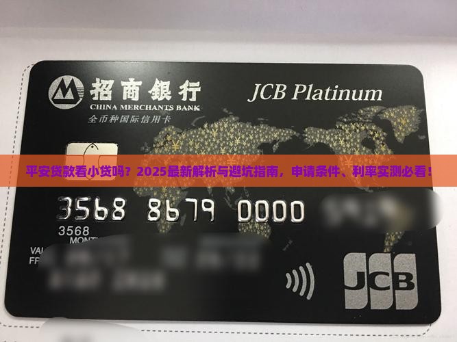 平安普惠贷款看小贷么