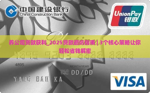 养公司贷款获利