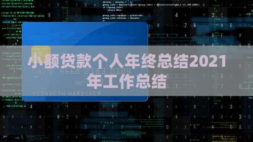 小额贷款个人年终总结