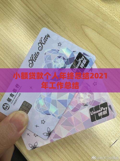 小额贷款个人年终总结