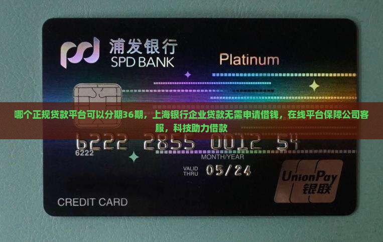 那个贷款平台可以36期