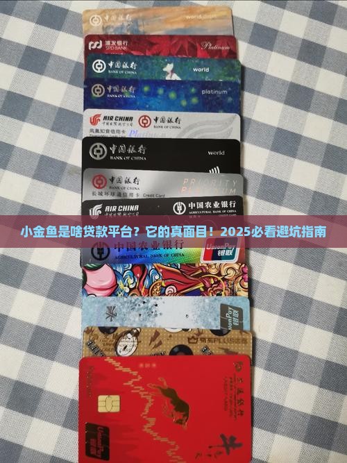 小金鱼是什么贷款平台