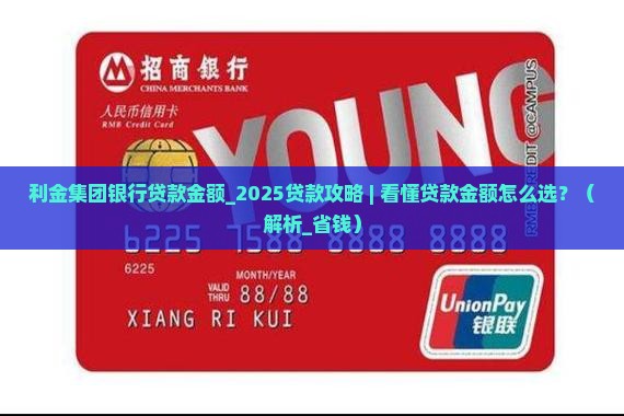 利金集团银行贷款金额