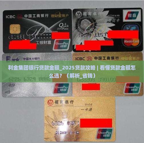 利金集团银行贷款金额
