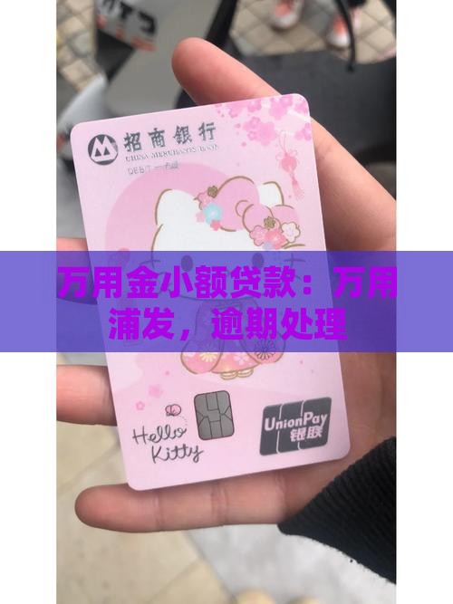 万用金小额贷款