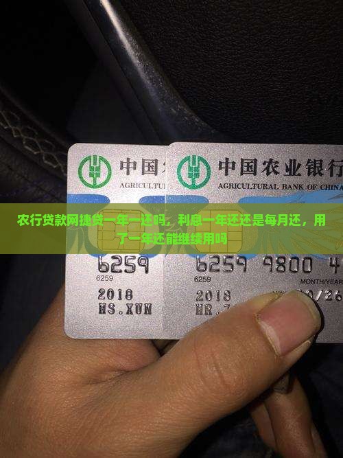 农行贷款网捷贷一年一还吗