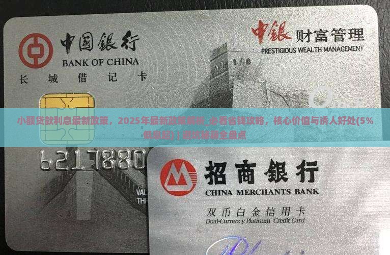 小额贷款利息最新政策