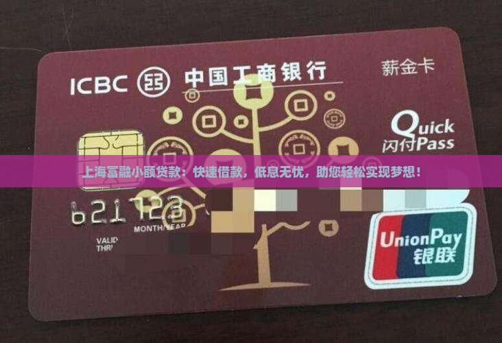 上海富融小额贷款
