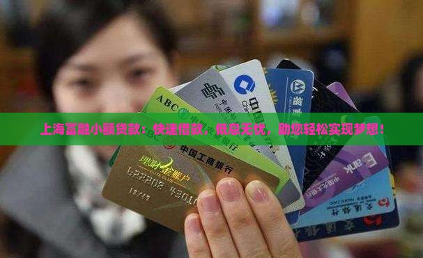 上海富融小额贷款