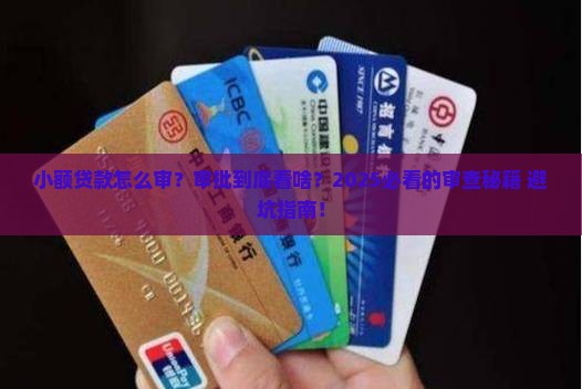 小额贷款审查审批要点