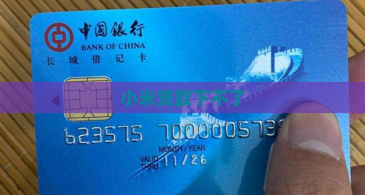 小米贷款下不了