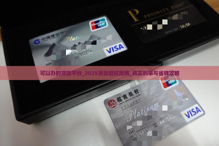 可以办的贷款平台