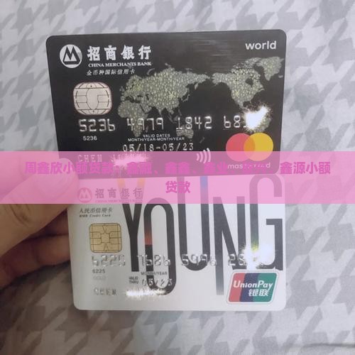 周鑫欣小额贷款
