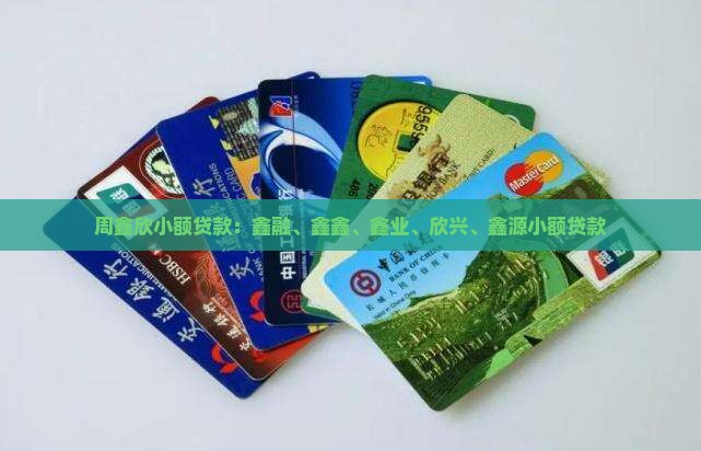 周鑫欣小额贷款
