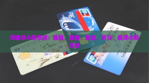 周鑫欣小额贷款
