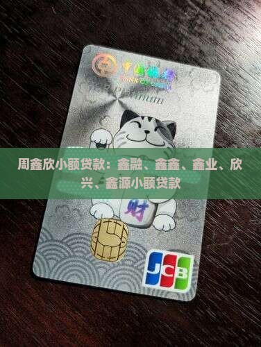周鑫欣小额贷款