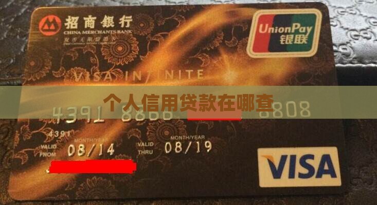 个人信用贷款在哪查