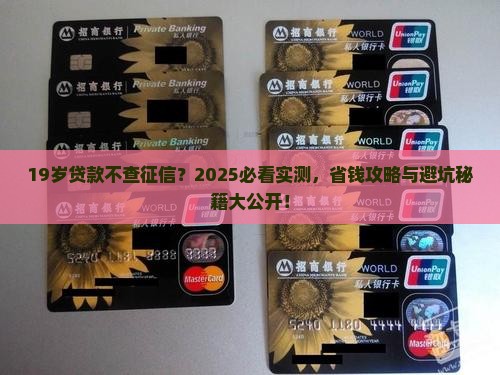 19岁贷款不查征信