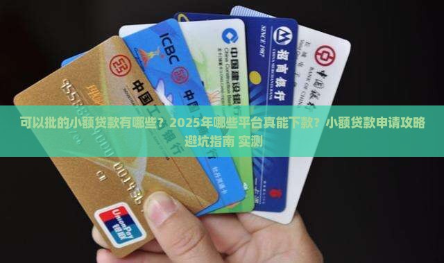 可以批的小额贷款