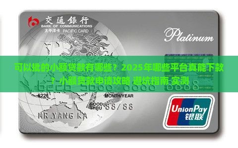 可以批的小额贷款