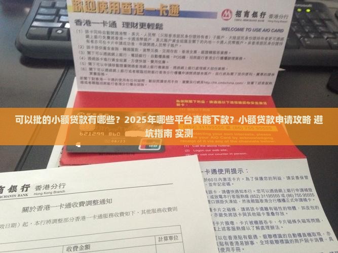 可以批的小额贷款