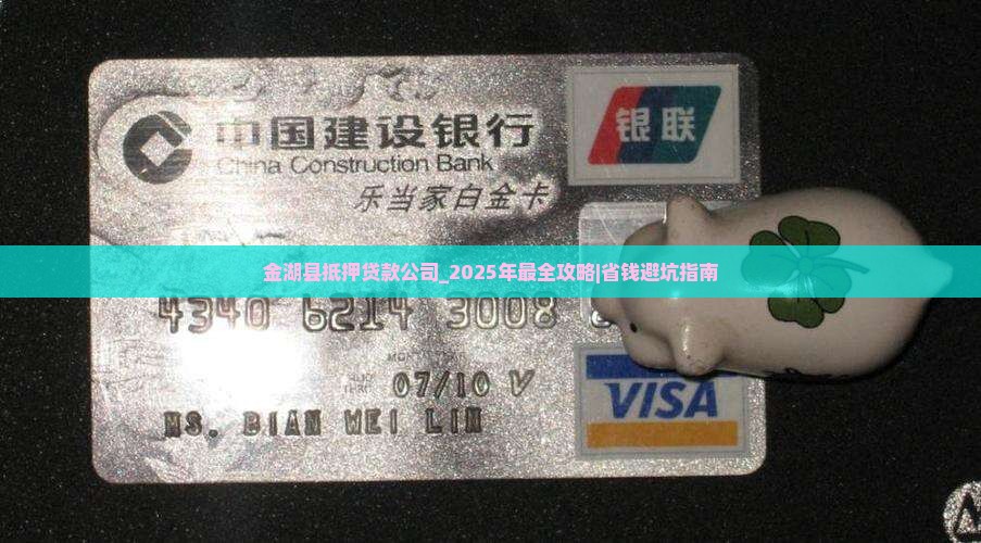 金湖县抵押贷款公司