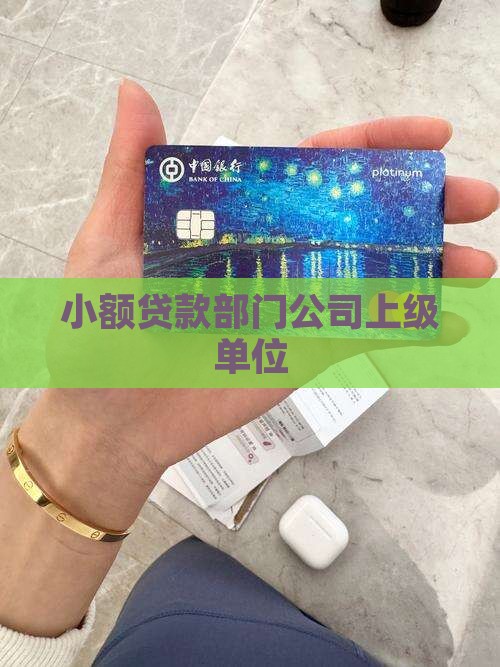 小额贷款上级单位
