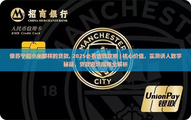 像苏宁和小米那样的贷款