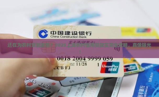 上海市农村信用贷款