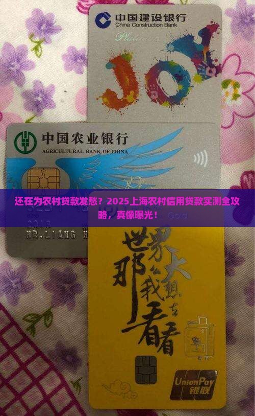 上海市农村信用贷款