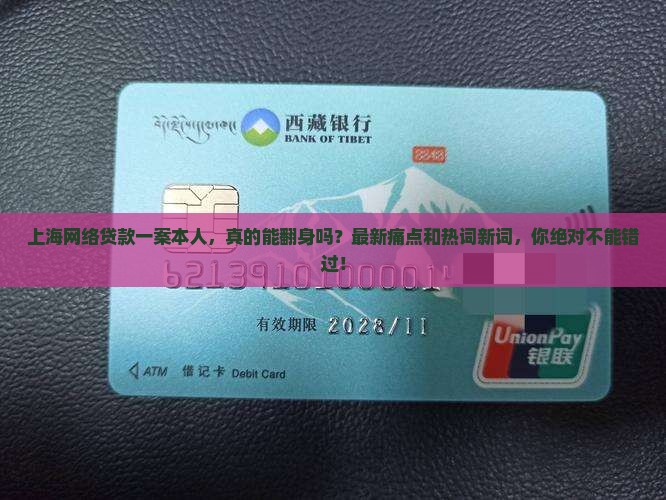 上海网络贷款一案本人
