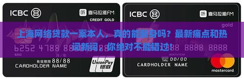 上海网络贷款一案本人