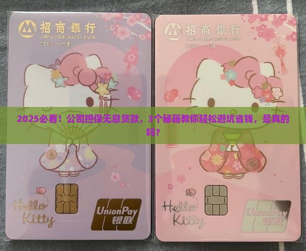 公司担保无息贷款