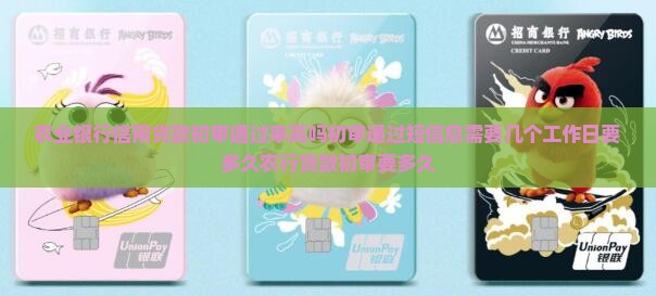 农业银行信用贷款初审
