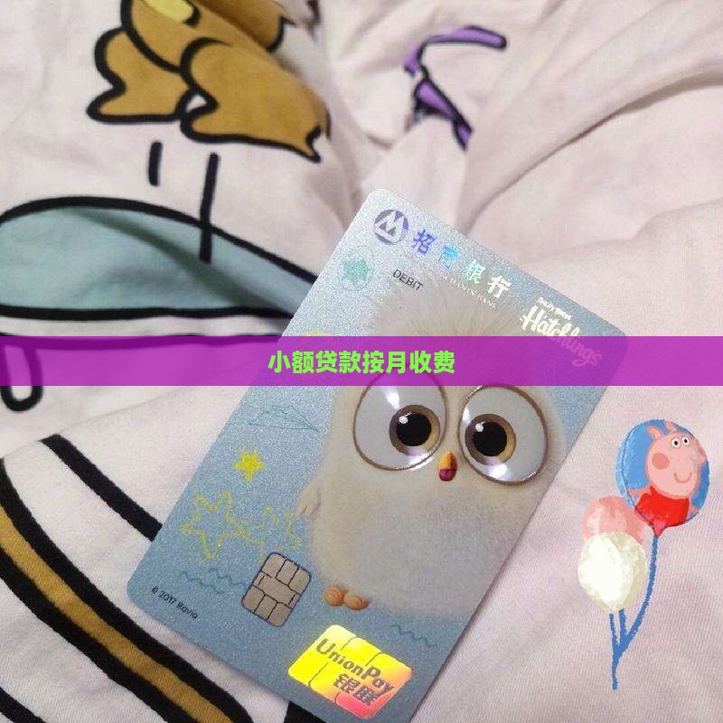 中财小额贷款按月收费