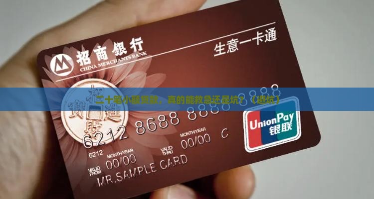 二十笔小额贷款