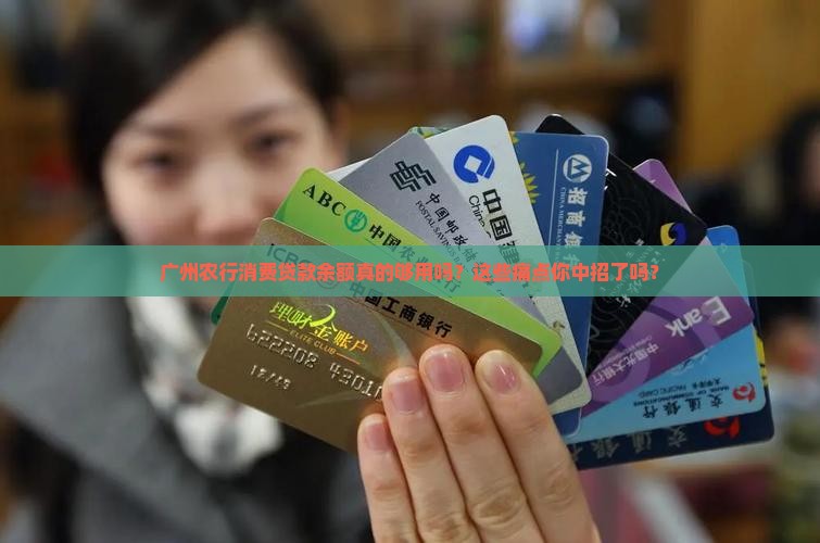 广州农行消费贷款余额