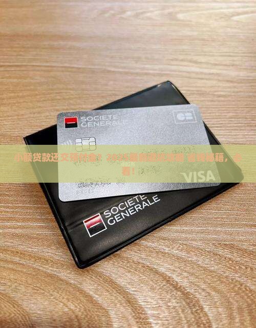 小额贷款收取预付金