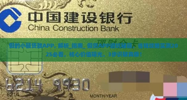 假的小额贷款APP
