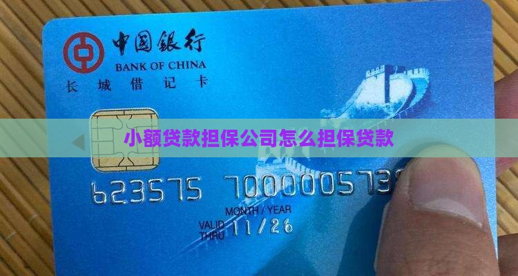 小额贷款担保公司怎么贷