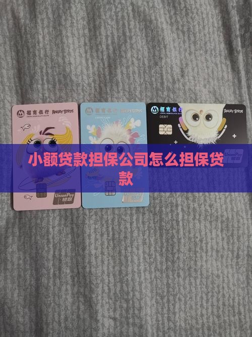 小额贷款担保公司怎么贷