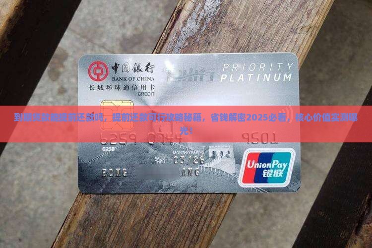 到期贷款能提前还款吗