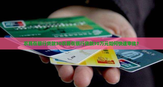 农民在银行贷款30