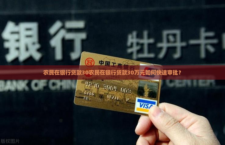农民在银行贷款30