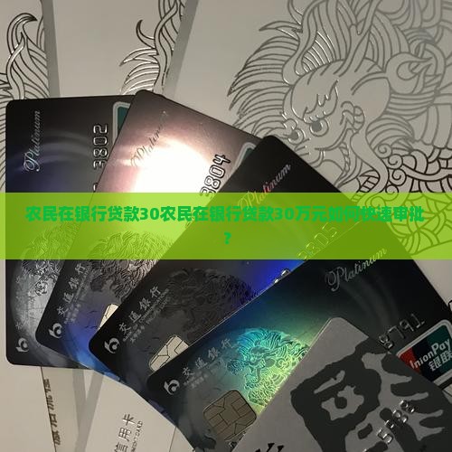 农民在银行贷款30