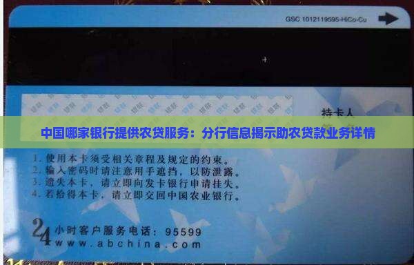 中国哪家银行提供农贷服务：分行信息揭示助农贷款业务详情
